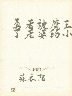 勇者被魔王变成了老婆的小说