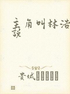 主角叫林浩的小说