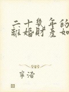 二十几年的婚姻离婚财产如何分割封面