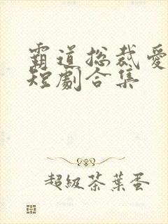 霸道总裁爱上我短剧合集