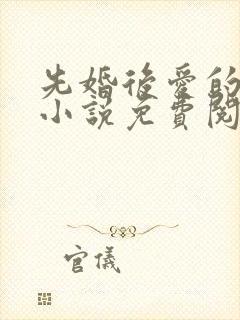 先婚后爱的军婚小说免费阅读全文封面