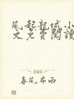 风起龙城小说全文免费阅读无弹窗