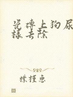 瓷砖上狗尿味怎样去除