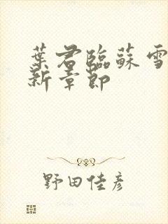 叶君临苏雪儿最新章节封面