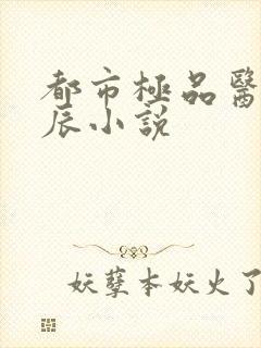 都市极品医神叶辰小说