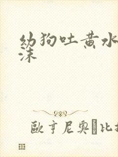 幼狗吐黄水带泡沫