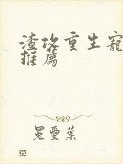 渣攻重生宠受文推荐封面