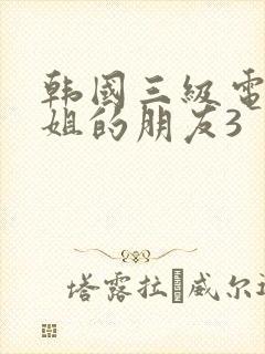 韩国三级电影姐姐的朋友3