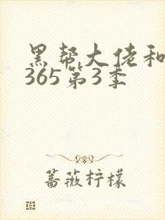 黑帮大佬和我的365第3季封面
