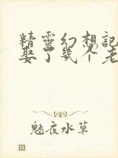 精灵幻想记原著娶了几个老婆