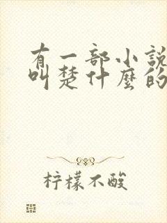 有一部小说主角叫楚什么的