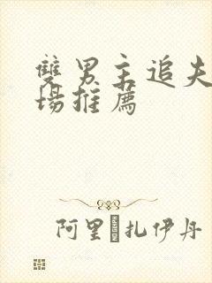 双男主追夫火葬场推荐封面