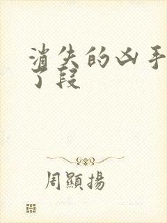 消失的凶手谁杀了段