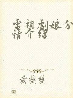 电视剧娘分集剧情介绍封面