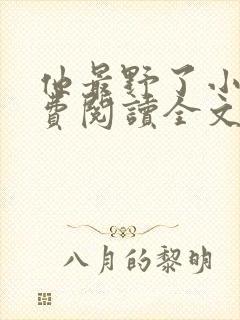 他最野了小说免费阅读全文