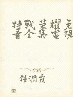 特战荣耀免费观看全集电视剧45集