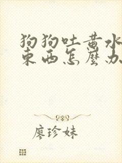 狗狗吐黄水不吃东西怎么办