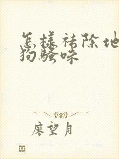 怎样祛除地板上狗骚味