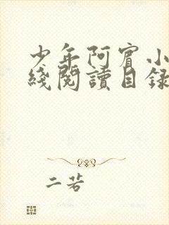 少年阿宾小说在线阅读目录