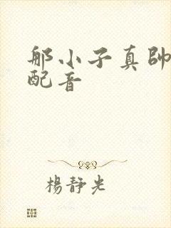 那小子真帅国语配音