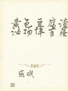 黄色豆腐渣样分泌物伴有瘙痒