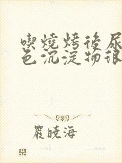 吃烧烤后尿液白色沉淀物很多