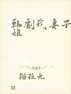 韩剧我妻子的姐姐