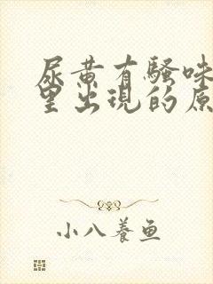 尿黄有骚味是哪里出现的原因封面