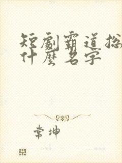 短剧霸道总裁叫什么名字封面