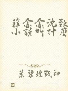 薛念念沈致宴的小说叫什么