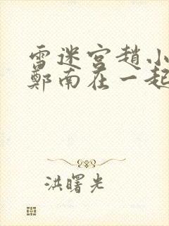 雪迷宫赵小光和郑南在一起了吗封面