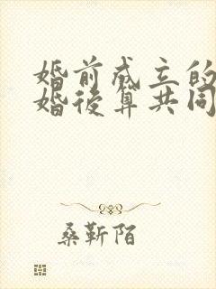 婚前成立的公司婚后算共同财产吗