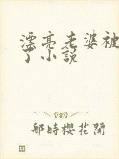 漂亮老婆被玩坏了小说封面