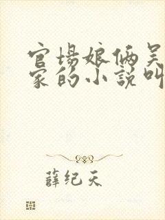 官场娘俩吴姐一家的小说叫什么名字封面