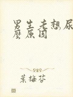 男生老想尿是什么原因