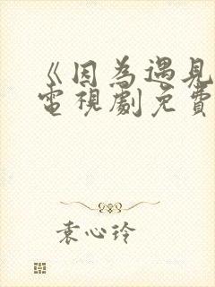 《因为遇见你》电视剧免费播放封面