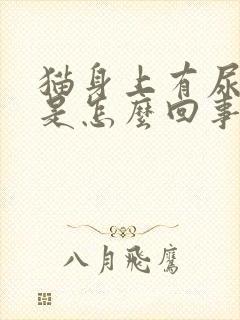 猫身上有尿骚味是怎么回事封面