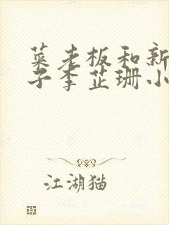 菜老板和新婚妻子李芷珊小说