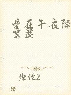 爱在午夜降临前云盘