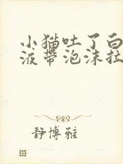 小猫吐了白色粘液带泡沫拉稀封面