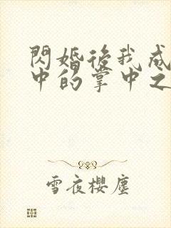 闪婚后我成大佬中的掌中之物