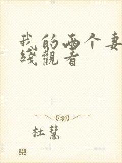 我的两个妻子在线观看封面