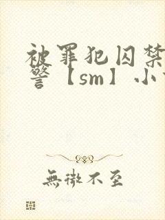 被罪犯囚禁的刑警【sm】小说