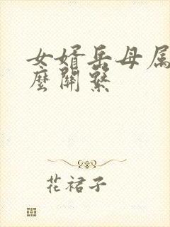 女婿岳母属于什么关系