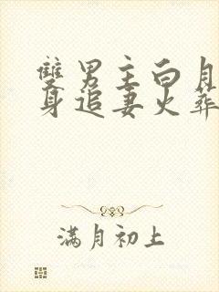 双男主白月光替身追妻火葬场