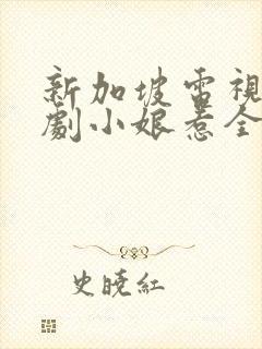 新加坡电视连续剧小娘惹全部剧集