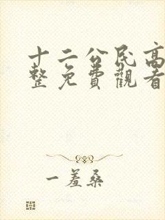 十二公民高清完整免费观看封面