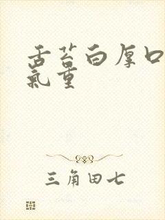 舌苔白厚口苦湿气重