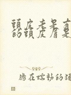 头皮老是有大块的头皮屑是怎么回事