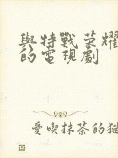 与特战荣耀类似的电视剧